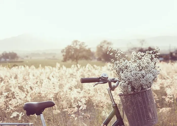 1-raum-wohnung Mit Balkon, Am Kurpark Am Gradierwerk Lägenhet *
